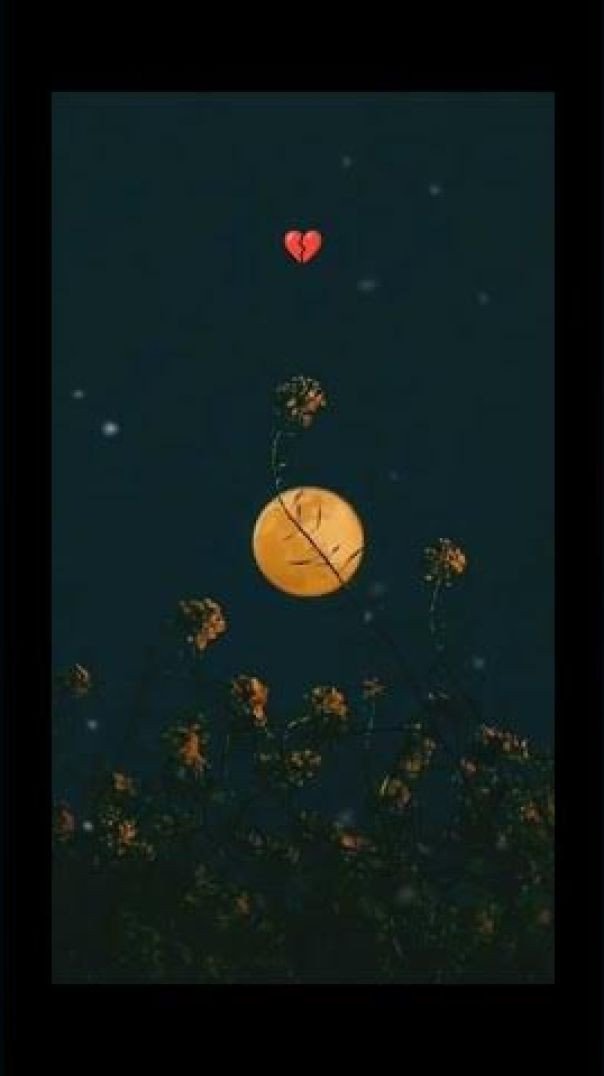 #zihalemiskin #acoustic #shreyaghoshal #sad #songs #music || Zihaal e Miskin (Acoustic Version)